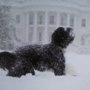 울안농장 이미지