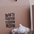 콩세알농장
