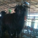 홍길동농장 이미지