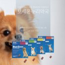 보세온누리약국 이미지