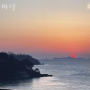 금와사 | 강남 청담동 이자카야 와사 업체 정보 후기