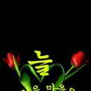 늘