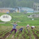 나린농장 이미지