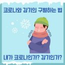 코로나와 감기 구별법 이미지