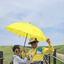 한진목장 이미지