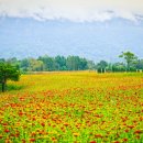 곡성묘천 이미지