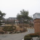 골롬반의원 Daum카페