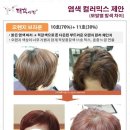 태후사랑 이미지