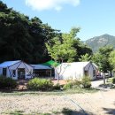 용문산관광지 야영장 이미지