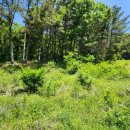 송해부동산공인중개사사무소 이미지