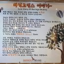 바링고 빈스(BARINGO BEANS)