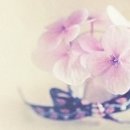 텔레마케팅관리사 필기 - 시장조사 이미지