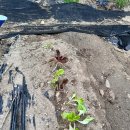 무럭이농장 이미지