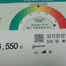 양지수선