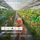 철만농장 네이버블로그
