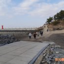 명가네힐링농장