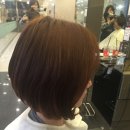 더헤담 네이버블로그