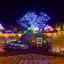 표선면 동산식당 이미지