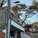 카페친구 | [아스테룸 433-10] 머글의 친구따라 십카페 간다‼️ 후기(칼리고 럭드 드볼 성공✌🏻)