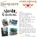 성분도비둘기공부방 이미지