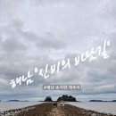 해남 가볼만한 곳 '신비의 바닷길' : 해남 땅끝여행 : 대죽조개잡이체험장