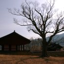 태조강헌 대왕영전 이미지