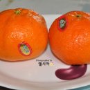 도훈농장 이미지