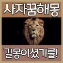 사자꿈 길몽이 더 많네요~ 이미지