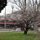 박팽년선생유허비 이미지