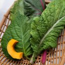 문성동 행정복지센터 1층 화장실 | 천안 문화동 맛집 능수숯불갈비 야외석에서 즐긴 한 끼