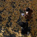 거창-거창-2 이미지