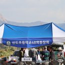 신도초교 이미지