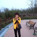 마치산공원 이미지