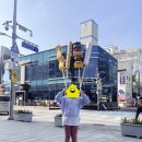 보물섬게임랜드 이미지