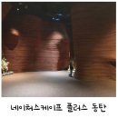 큰별자리어린이집 | 동탄 아이랑 실내 갈만한 곳 네이처스케이프 플러스 키즈카페