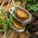 완도20호 이미지