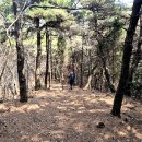 삼흥회관 이미지