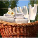 세탁의여왕 이미지