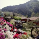 봉화황토테마파크 이미지