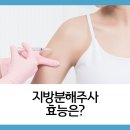 광주지방분해주사 쌓여있는 지방 매끄럽게 없애려면 이미지