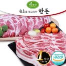 해밀 쇼핑하우