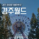 매직카월드 | 경주 아이랑가볼만한곳 6살아이랑 경주월드