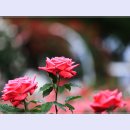 곡성-045 티스토리