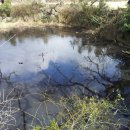 서부목장 이미지