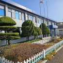 인천용현남초등학교자월분교장 | 2025가을 끝자락 단풍놀이, 자월도에서 즐겨보았다!