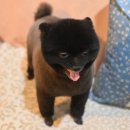 구르미살롱 네이버블로그