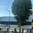 종로5가역 14번출구 이미지