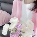 아크네 핑크 가디건 스웨터 마이테레사 구매후기