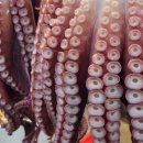 삼호수산 이미지