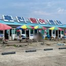 아름이 | 양양 로컬 맛집 현지인 추천 회 갓성비 후진항 아름이네 방문 후기